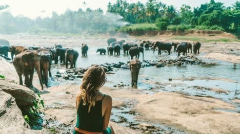 my-maldives-woman-wildlife-viewing-in-sri-lanka-with-elephants-swimming-in-the-water-641126198